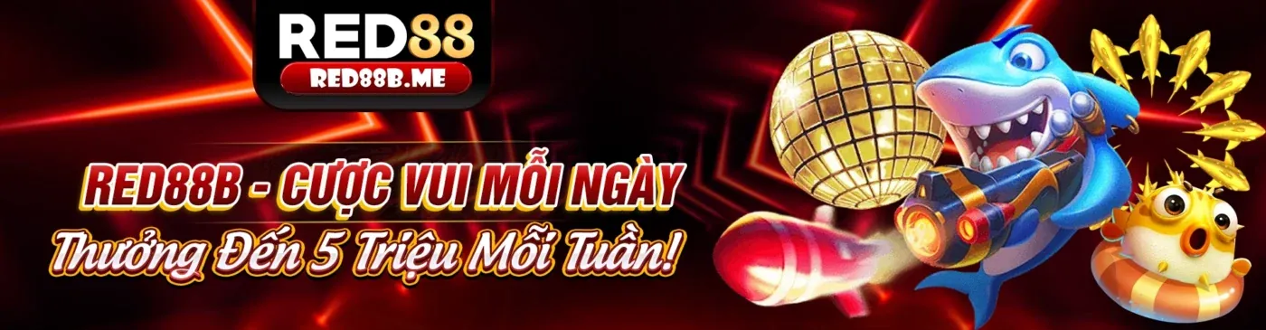 Các loại hình đá gà phổ biến